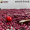 La más alta calidad 2012 nueva cosecha bien elegido frijol rojo en la venta caliente